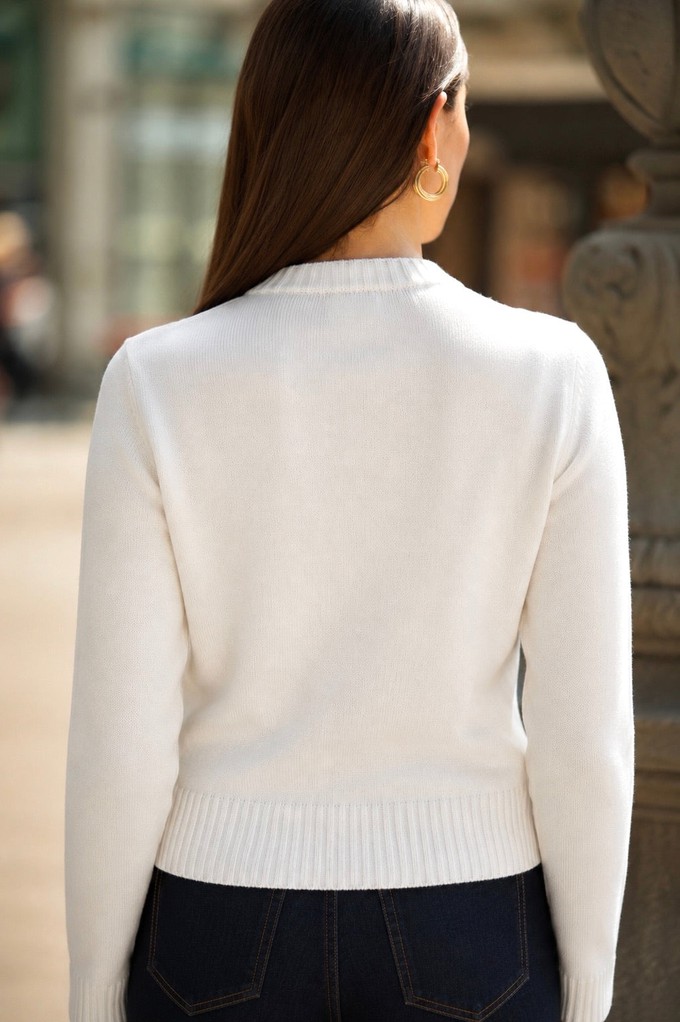 Lucas Embroidered Sweater from GAÂLA
