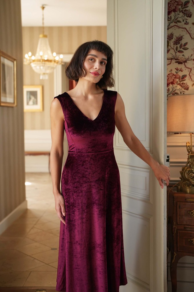 Emmelyn Velvet Dress from GAÂLA
