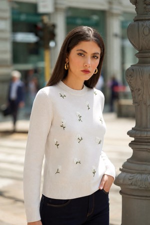 Lucas Embroidered Sweater from GAÂLA