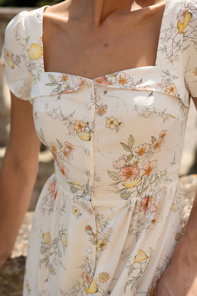 Estelle Button Down Dress from GAÂLA