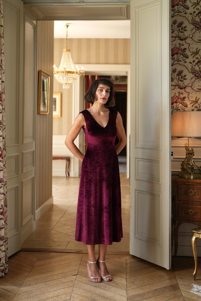 Emmelyn Velvet Dress from GAÂLA