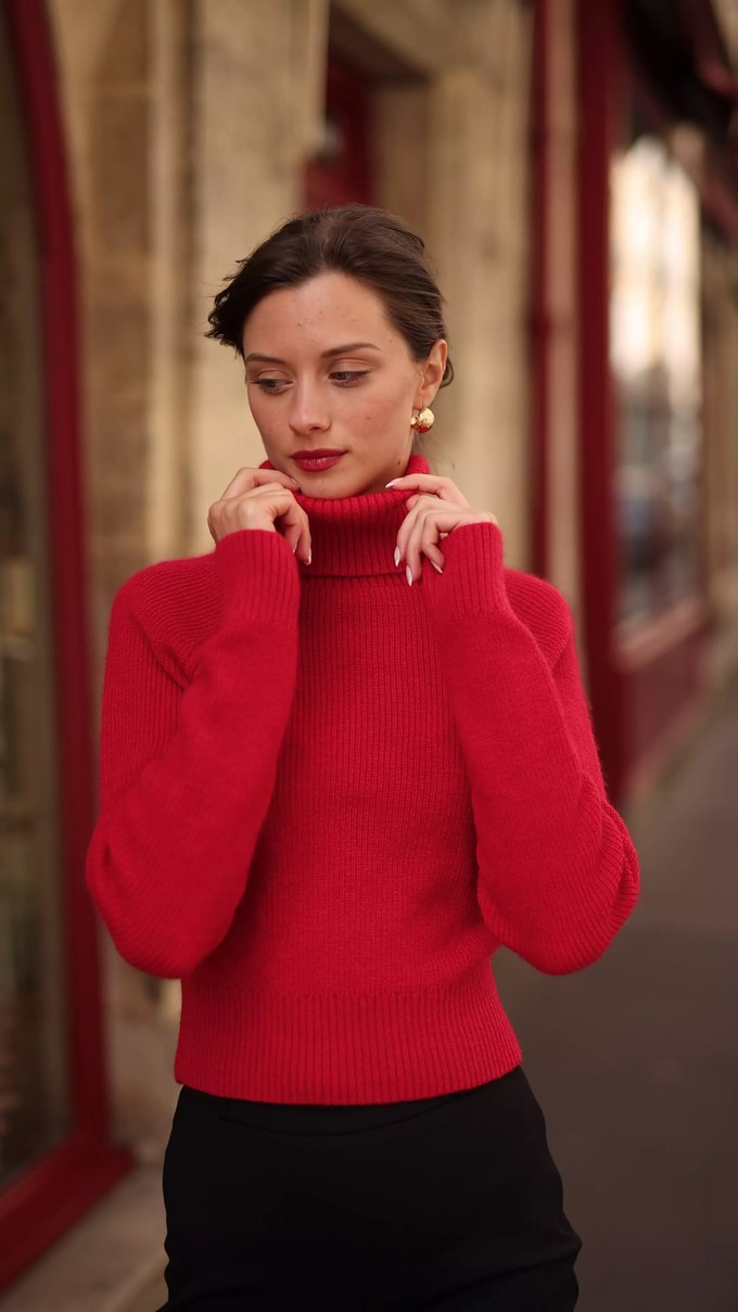 Naomi Mohair Roll-Neck Sweater from GAÂLA