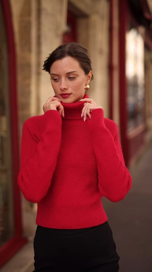Naomi Mohair Roll-Neck Sweater from GAÂLA