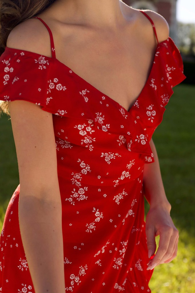 Lana Ruffle Dress from GAÂLA