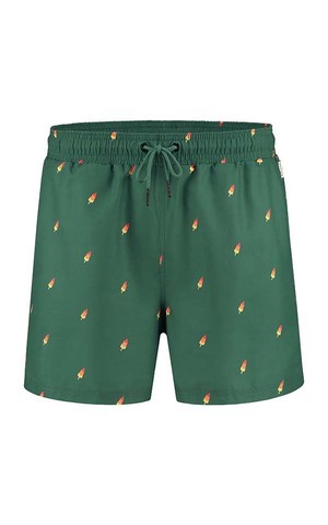 Swim Shorts Bram from Het Faire Oosten