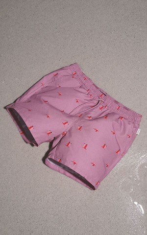 Swim Shorts Flying Birds from Het Faire Oosten