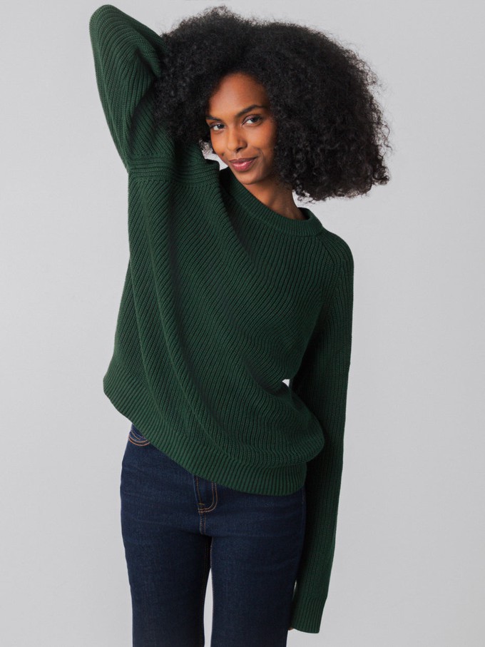 Heavy Knit Jumper Women from Honest Basics