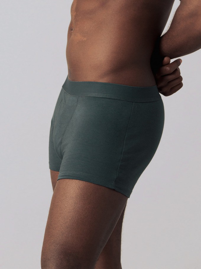 Boxershorts 3-Pack from Honest Basics