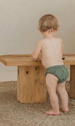 Lumi Brief – Moss from Ina Swim