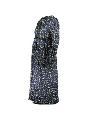 Kelsy Maternity Dress from Isabella Oliver