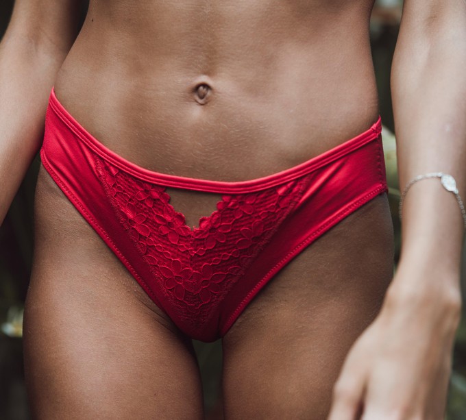 Passion Red - Silk & Organic Cotton Brief from JulieMay Lingerie