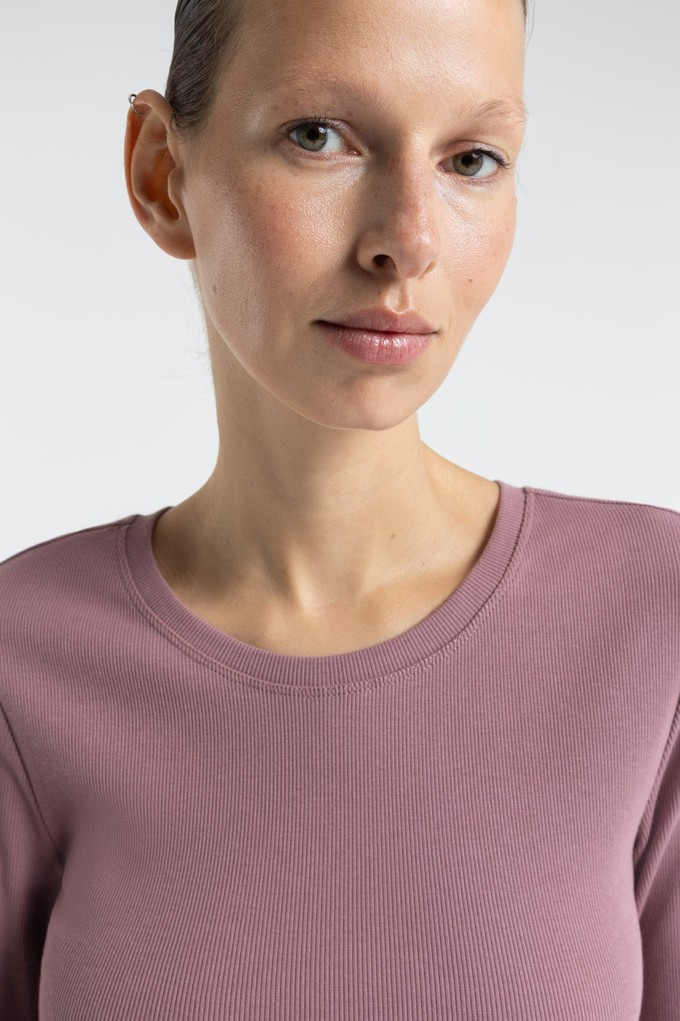 DAIGO | WISTFUL MAUVE from Kings of Indigo