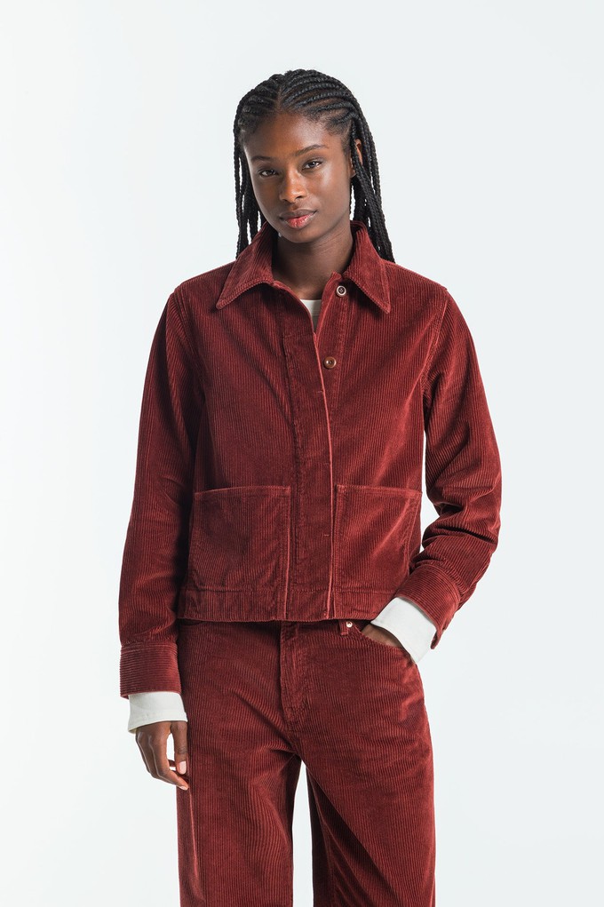 OTA CORD | MADDER BROWN from Kings of Indigo