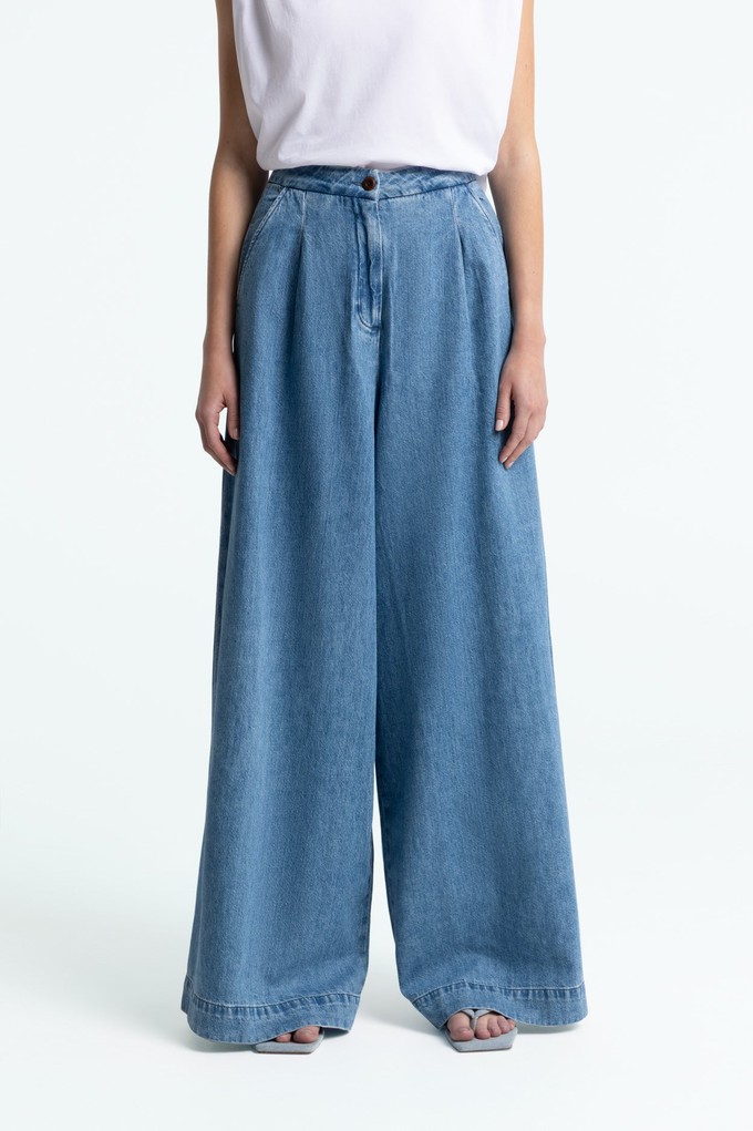 ELSA | HOPCETE ELECTRIC CLEAN from Kings of Indigo