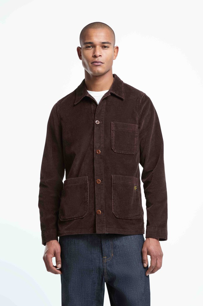 DUNCAN CORD | COFFEE BEAN CORD from Kings of Indigo