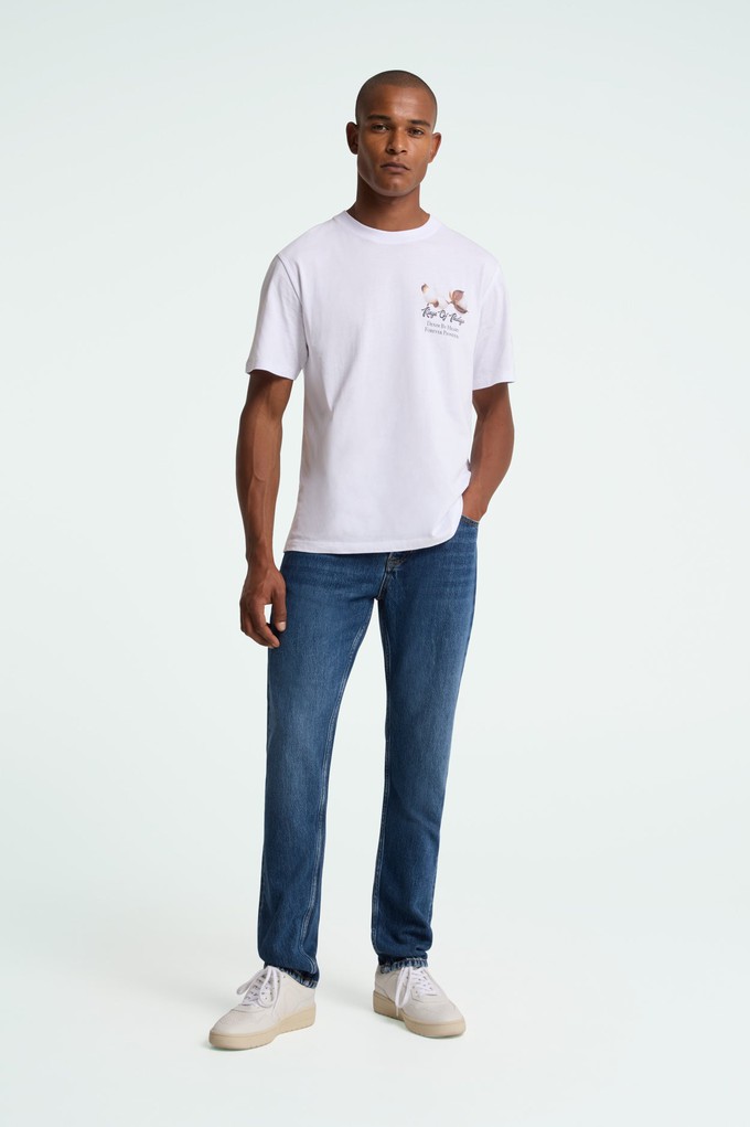 JERRICK | LEWISBORO MID USED from Kings of Indigo