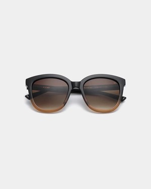 BILLY - Black/Brown Transparent Sunglasses by A.Kjaerbede from KOMODO