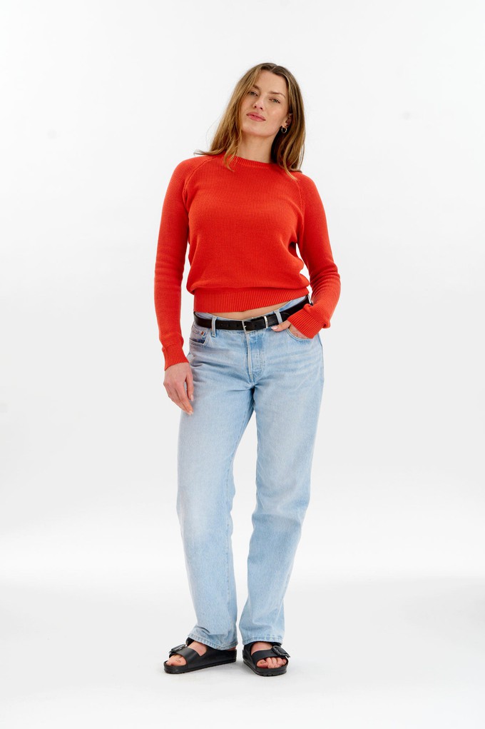 FOG Organic Cotton Jumper - Red from KOMODO