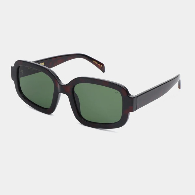 PLUTO - Demi Tortiose Sunglasses by A.Kjaerbede from KOMODO