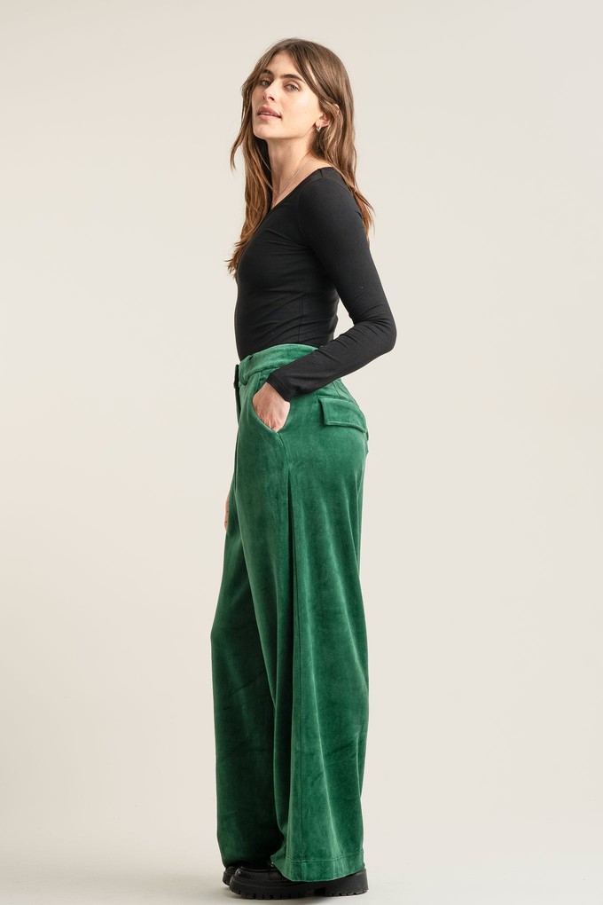 SOFIA Velvet Trouser - Green from KOMODO