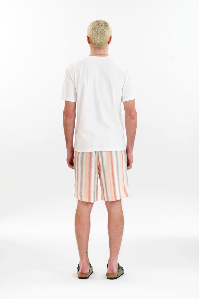TOM Organic Cotton Short - stripe from KOMODO