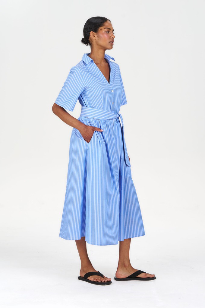 SHORE Organic Cotton Dress - Blue Stripe from KOMODO