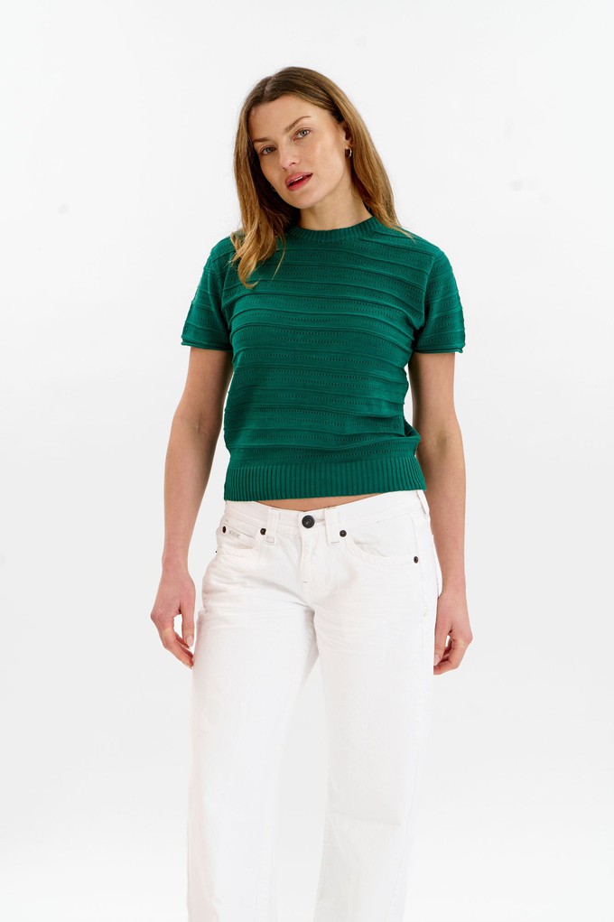 POSEY Organic Cotton Knit Tee - Green from KOMODO