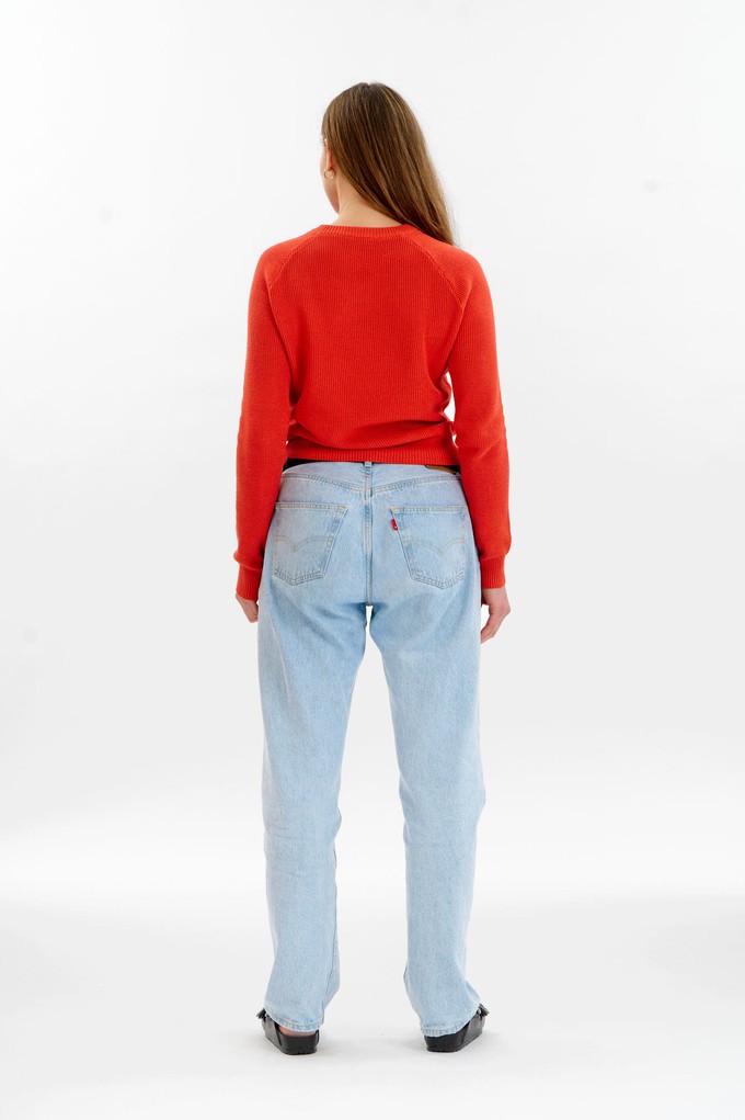 FOG Organic Cotton Jumper - Red from KOMODO