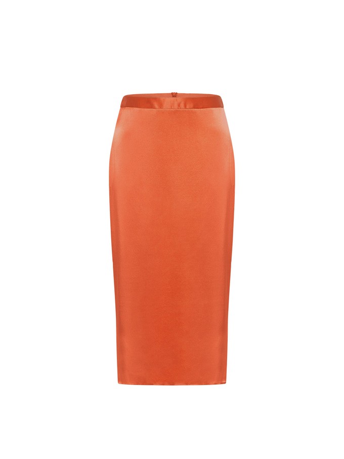 Silk skirt from LANIUS