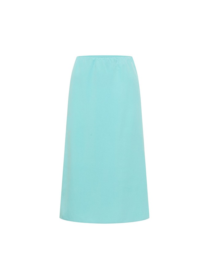 Midi skirt from LANIUS