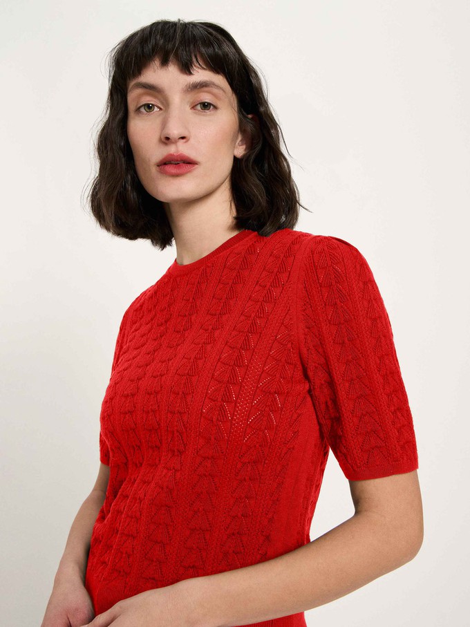 short-sleeved sweater (GOTS) from LANIUS