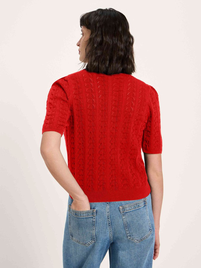 short-sleeved sweater (GOTS) from LANIUS