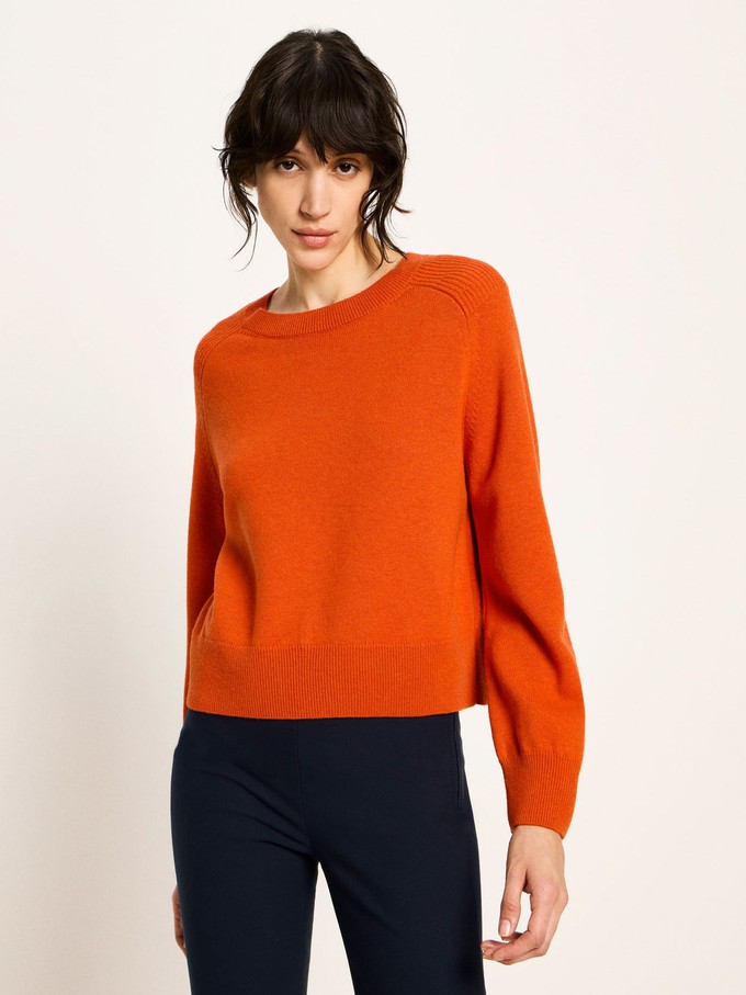 Cropped Pullover (GOTS) from LANIUS