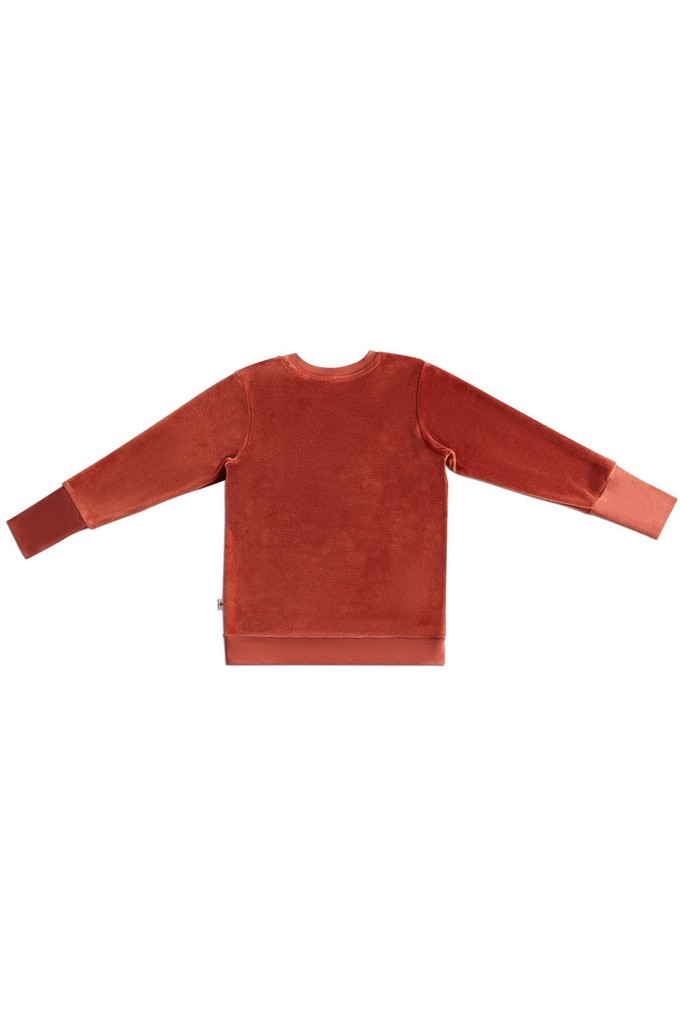 2477 TC | Kids velour Sweatshirt - Tabasco from Leela Cotton