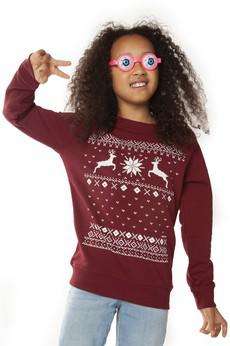 Christmas Reindeer Sweater from Loenatix