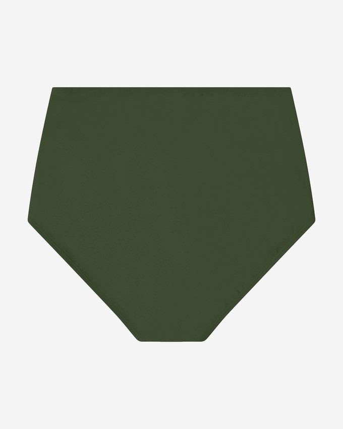 Bikini Bottom basil from Matona