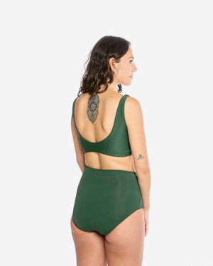 Bikini Bottom basil from Matona