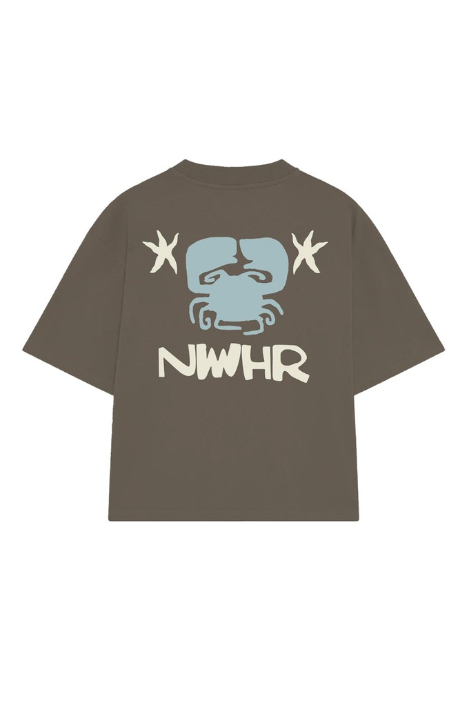 Camiseta entre as pedras brown from NWHR