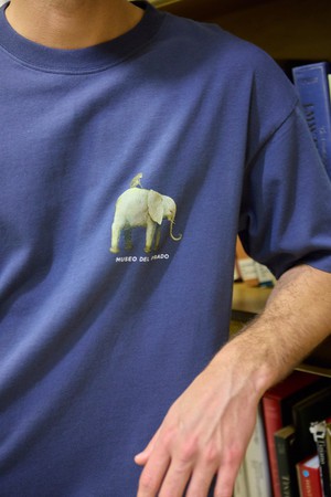 Flying Fish T-shirt x Museo del Prado from NWHR