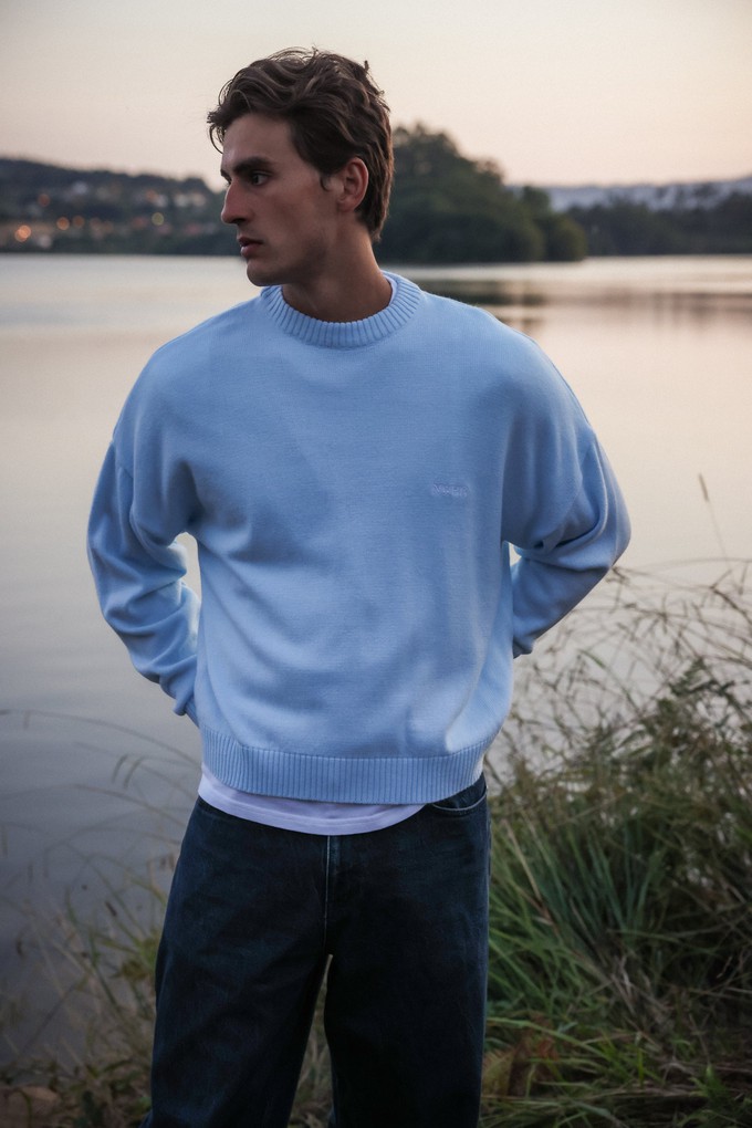 Baby Blue Brushed Jersey from NWHR