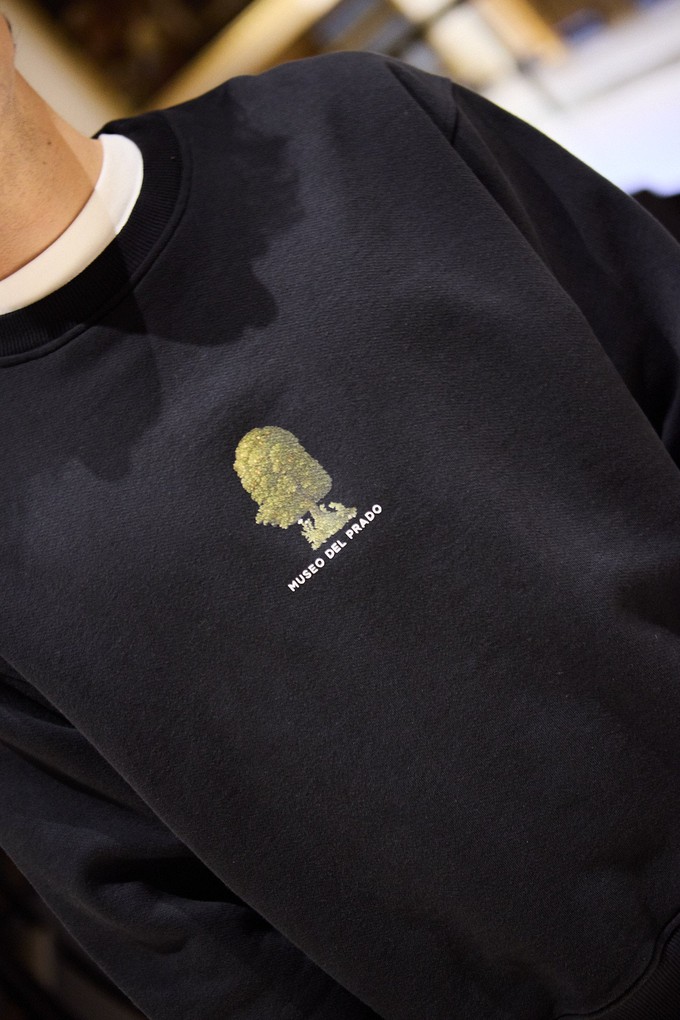 Crewneck flying fish x Museo del Prado from NWHR