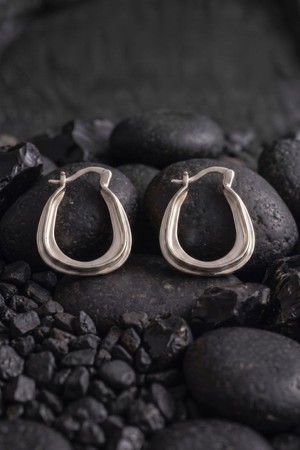 The Coast Hoop from organsk