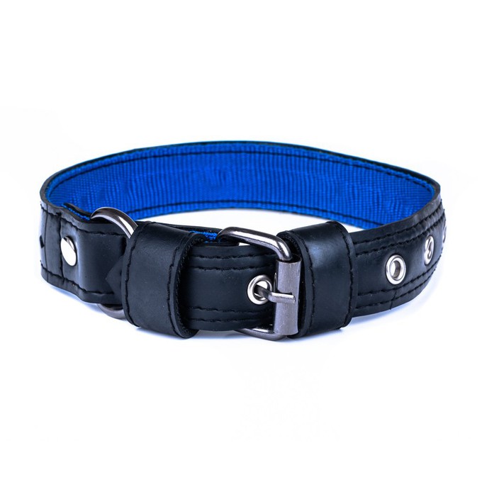 Eco Friendly Recycled Inner Tube Vegan Dog Collar from Paguro Upcycle