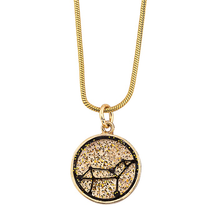Leo Zodiac Sign Sustainable Necklace from Paguro Upcycle
