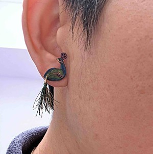 Peacock Tassel Calabash (Totumo) Earrings from Paguro Upcycle