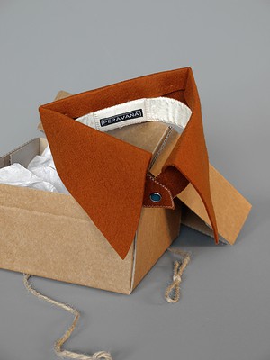 Separate Wearable Collar from Pepavana