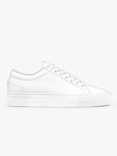 Grape Essential - Classic White via QURC. amsterdam