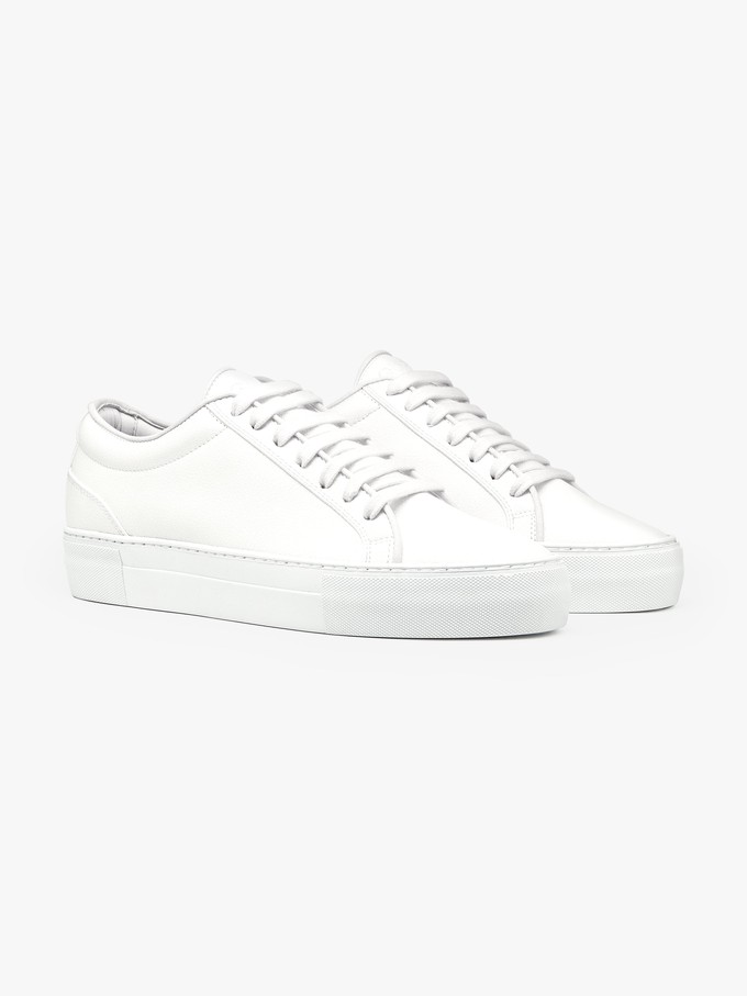 Grape Essential - Classic White from QURC. amsterdam