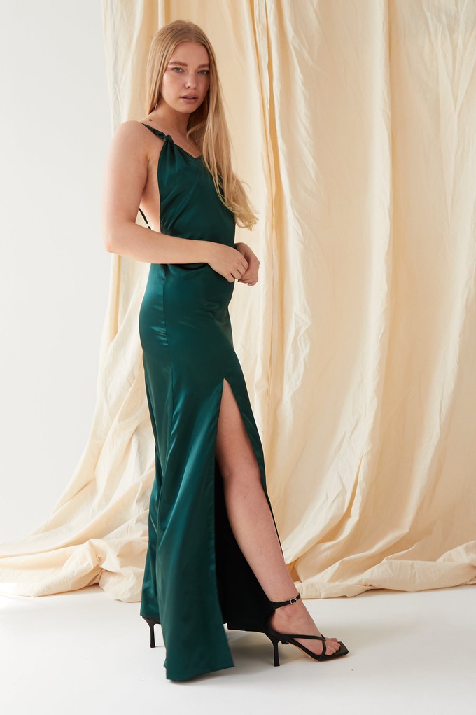 Backless Maxi Dress from Sarvin