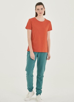 T-Shirt Basic Saffron Orange from Shop Like You Give a Damn